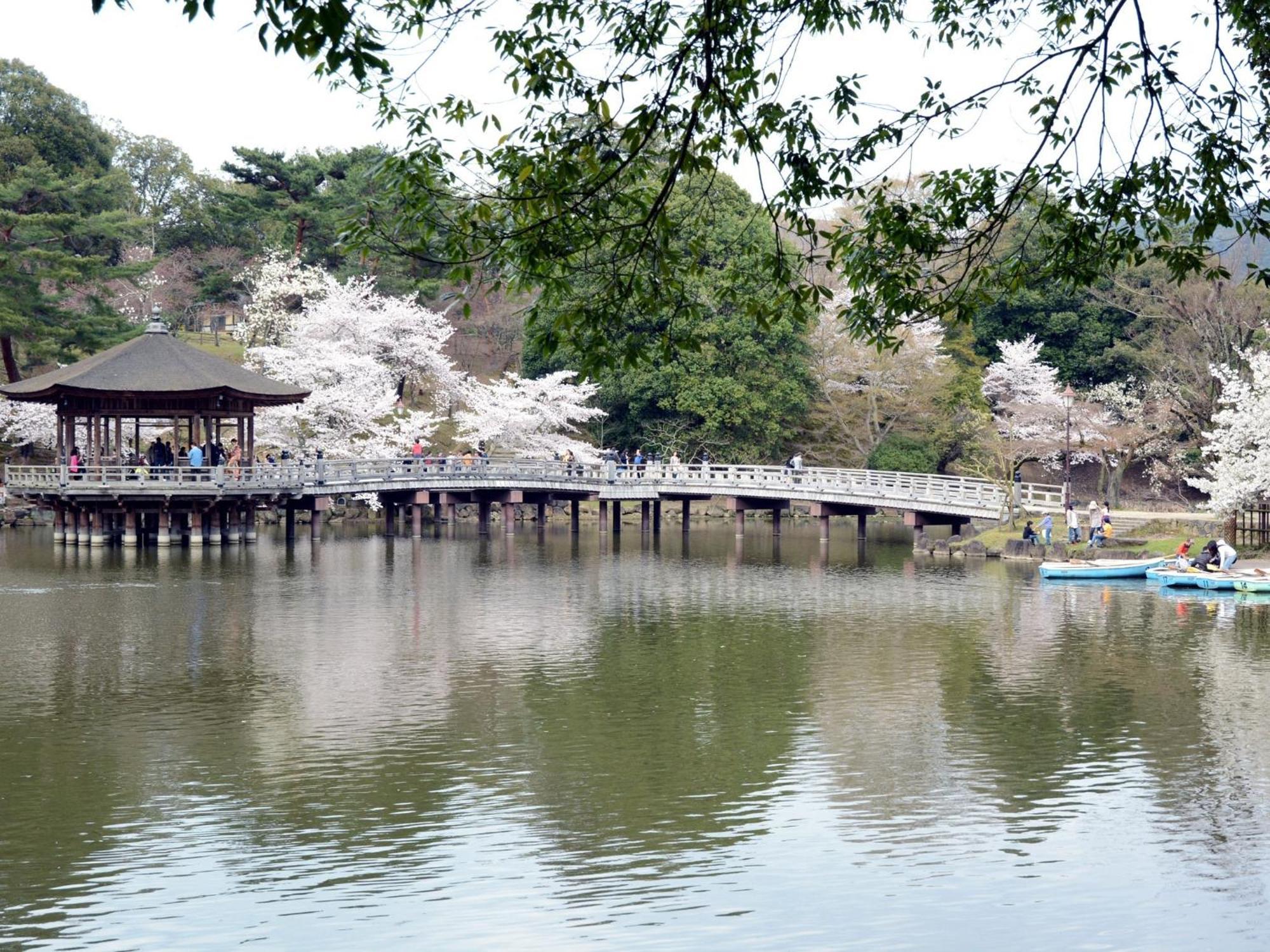 Nara - Hotel / Vacation Stay 47950 Экстерьер фото
