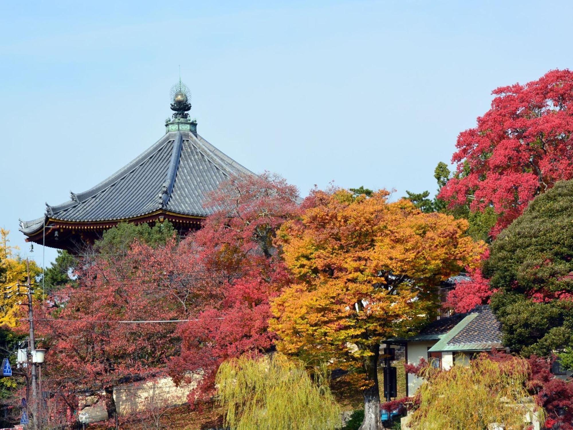 Nara - Hotel / Vacation Stay 47950 Экстерьер фото