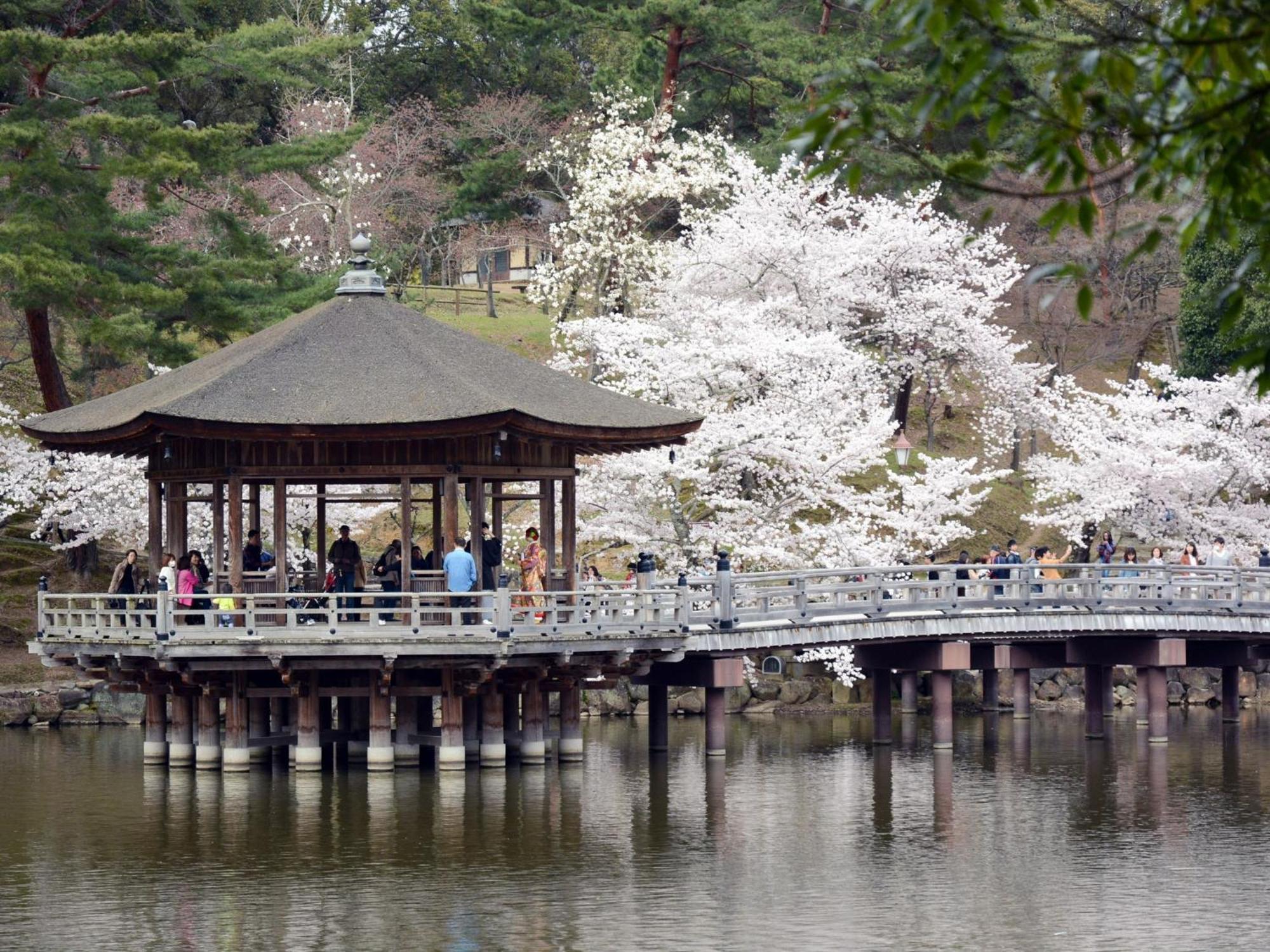 Nara - Hotel / Vacation Stay 47950 Экстерьер фото